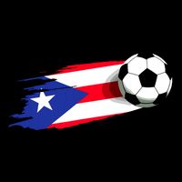 Puerto Rico Flag Jersey Puerto Rico Soccer Team Puerto Rico 16 in Basic Backpack