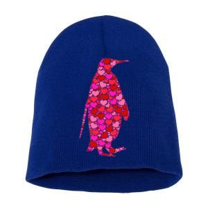 Pink Red Heart Valentines Day Gift Cute Gift Penguin Funny Gift Short Acrylic Beanie