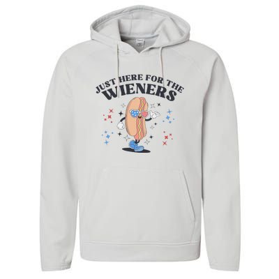 Patriotic Retro Hot Dog 4th Of July Design Performance Fleece Hoodie