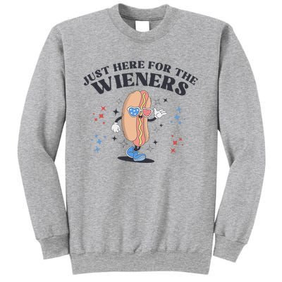 Patriotic Retro Hot Dog 4th Of July Design Sweatshirt