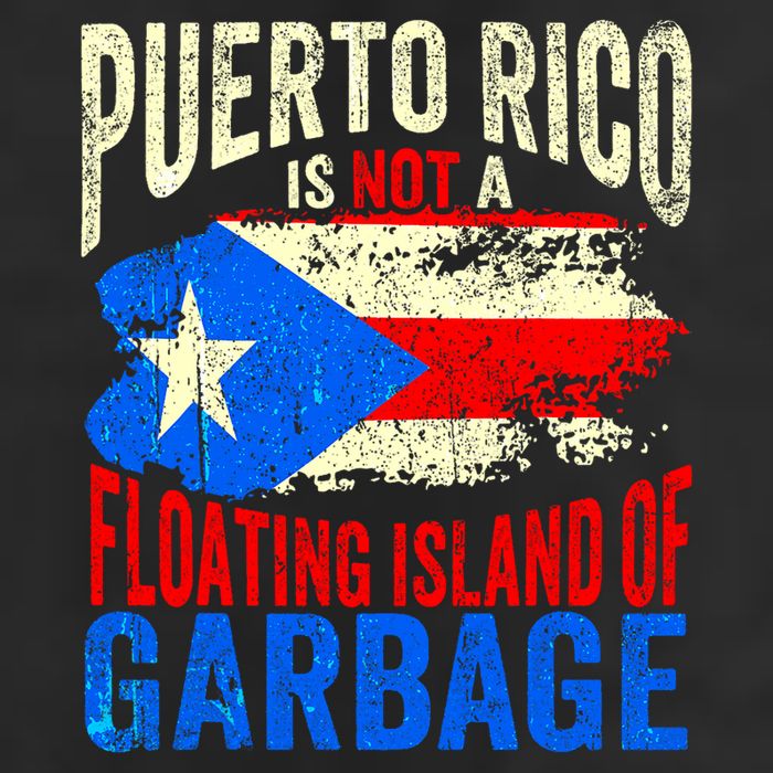 Puerto Rico Is Not A Floating Island Of Garbage Knit Cap Winter Beanie