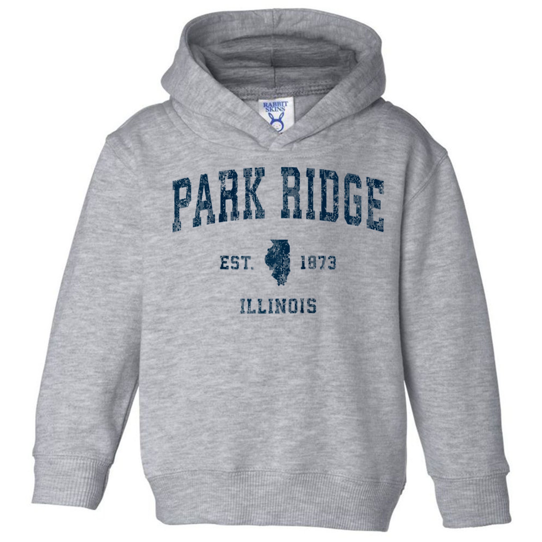 Park Ridge Illinois Il Vintage Sports Toddler Hoodie