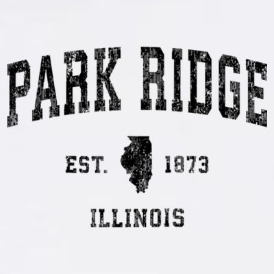 Park Ridge Illinois Il Vintage Established Sports Design T-Shirt