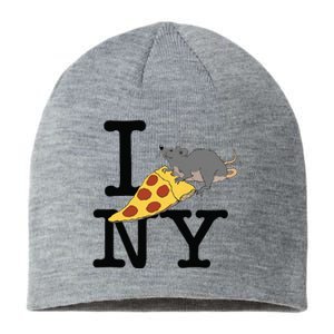 Pizza Rat Ironic Sustainable Beanie