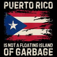 Puerto Rico Is Not A Floating Island Of Garbage Wool Snapback Cap