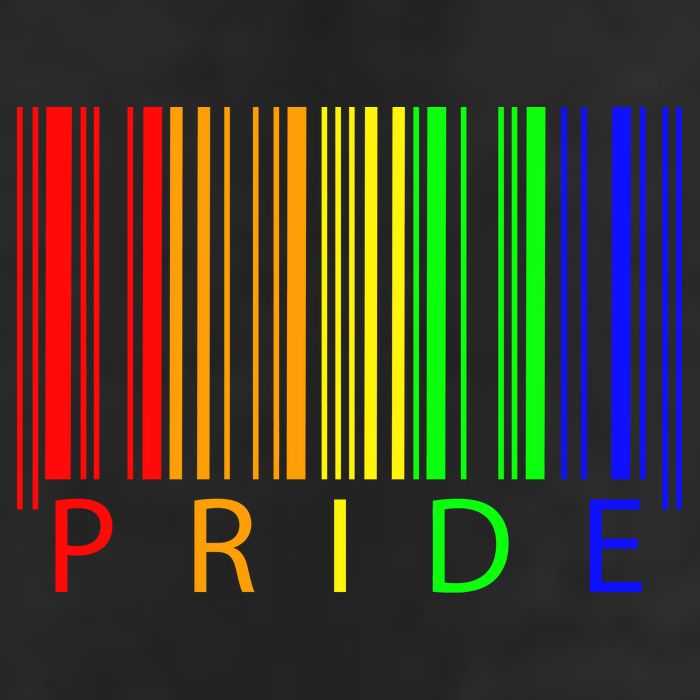 Pride Barcode LGBTQ 7 Panel Mesh Trucker Snapback Hat