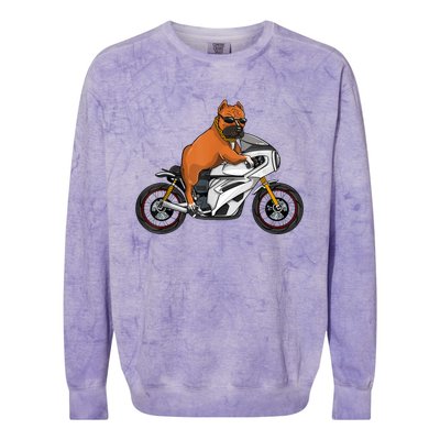 Pitbull Riding Motorcycle Funny Pit Bull Biker Pittie Dog Colorblast Crewneck Sweatshirt