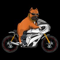 Pitbull Riding Motorcycle Funny Pit Bull Biker Pittie Dog Cooling Performance Crew T-Shirt
