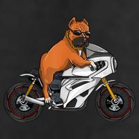 Pitbull Riding Motorcycle Funny Pit Bull Biker Pittie Dog Adult Drive Performance Visor