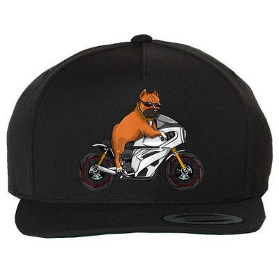 Pitbull Riding Motorcycle Funny Pit Bull Biker Pittie Dog Wool Snapback Cap