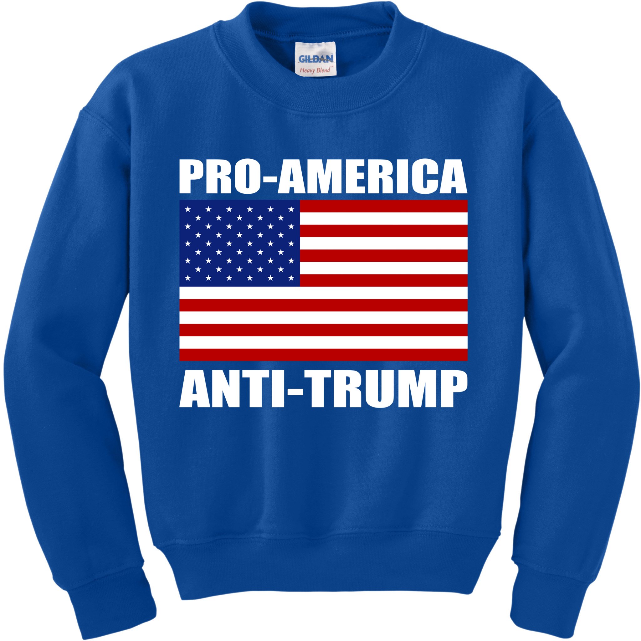 Pro America Anti Trump Kids Sweatshirt