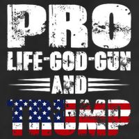Pro Life God Gun And Trump 7 Panel Mesh Trucker Snapback Hat
