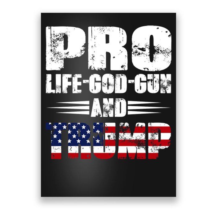 Pro Life God Gun And Trump Poster