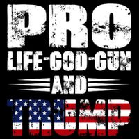 Pro Life God Gun And Trump Toddler T-Shirt