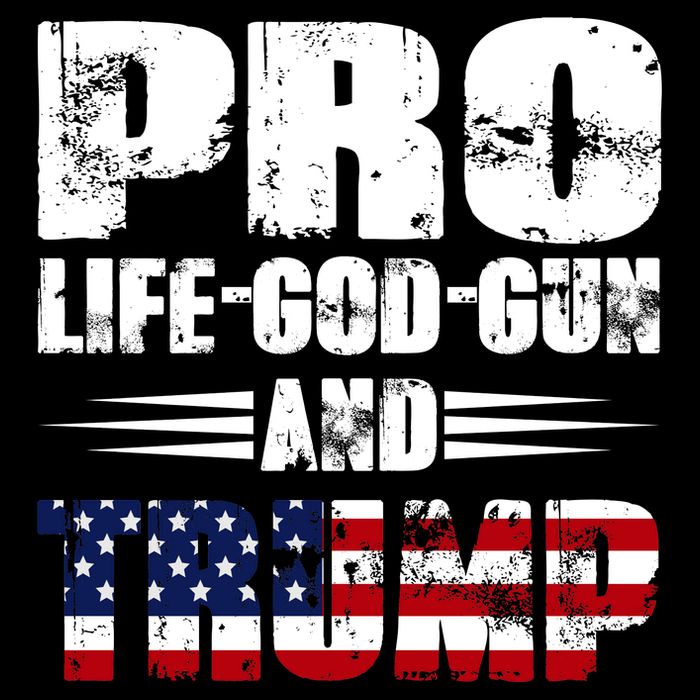 Pro Life God Gun And Trump Toddler T-Shirt