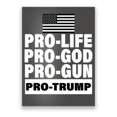 Pro-Life Pro-God Pro-Gun Pro-Trump Poster