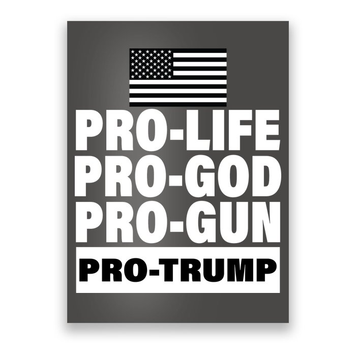 Pro-Life Pro-God Pro-Gun Pro-Trump Poster