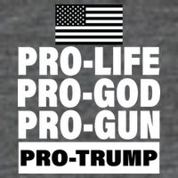 Pro-Life Pro-God Pro-Gun Pro-Trump Women's V-Neck T-Shirt
