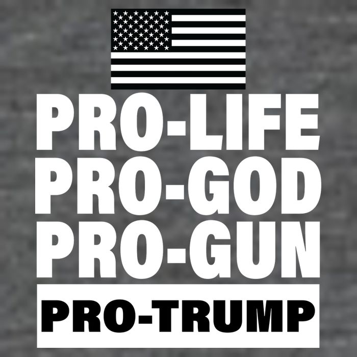 Pro-Life Pro-God Pro-Gun Pro-Trump Women's V-Neck T-Shirt
