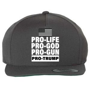 Pro-Life Pro-God Pro-Gun Pro-Trump Wool Snapback Cap