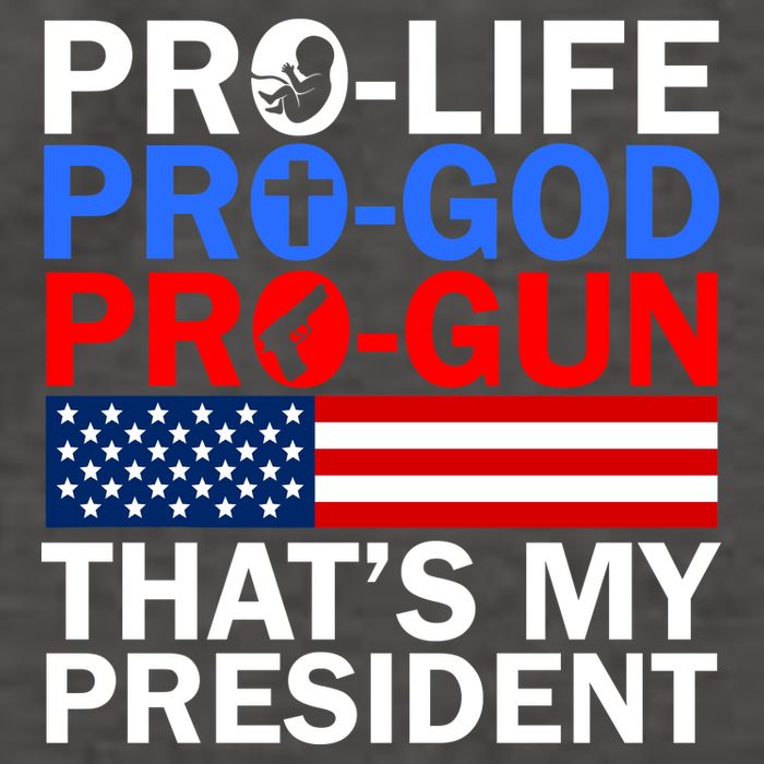 Pro-Life Pro-God Pro-Gun That's My President Vector Backpack