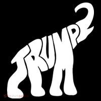 Pro Trump Elephant 16 in Basic Backpack