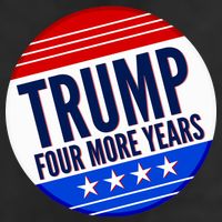Pro Trump Four More Years Adult Drive Performance Visor