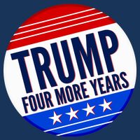 Pro Trump Four More Years Hoodie