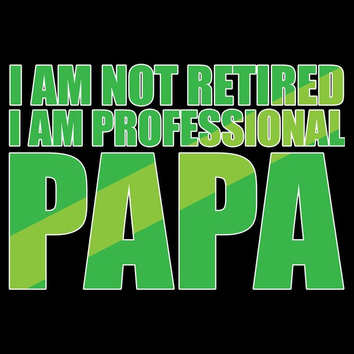 Professional Papa Im Not Retired Visor