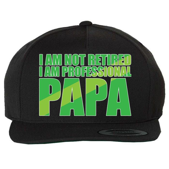 Professional Papa Im Not Retired Wool Snapback Cap