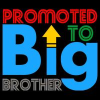 Promoted To Big Brother Colorful Logo Kids T-Shirt