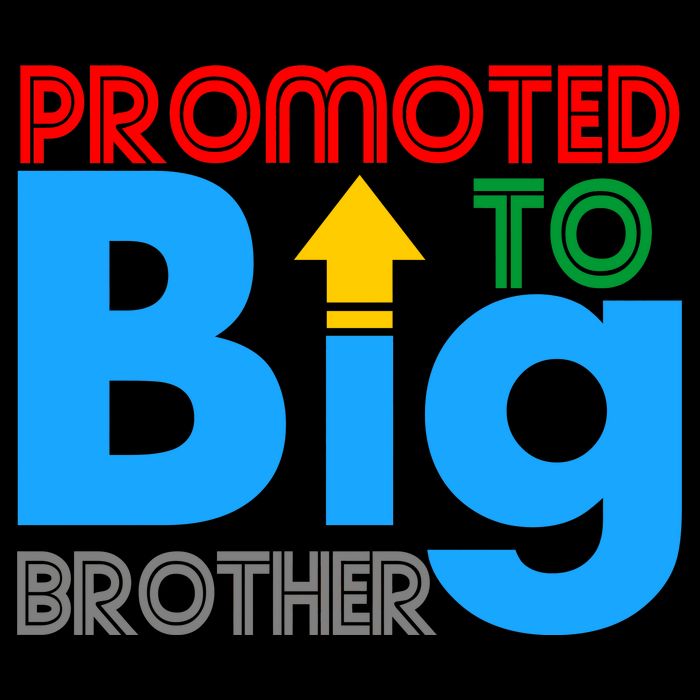 Promoted To Big Brother Colorful Logo Kids T-Shirt