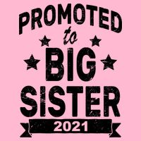 Promoted To Big Sister 2021 Hoodie