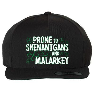 Prone To Shenanigans And Malarkey Wool Snapback Cap
