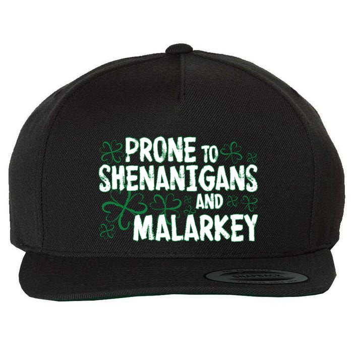 Prone To Shenanigans And Malarkey Wool Snapback Cap