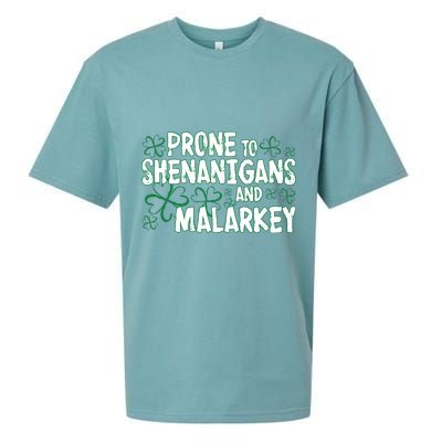 Prone To Shenanigans And Malarkey Sueded Cloud Jersey T-Shirt