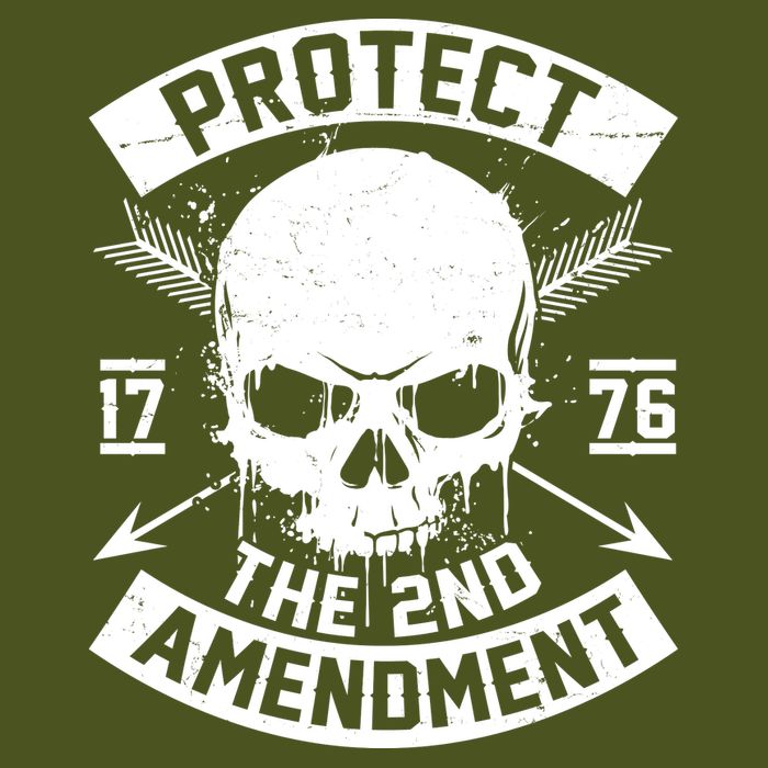 Protect The 2nd Amendment 1776 Arrow Skull Sustainable Knit Beanie