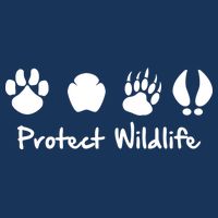 Protect Wildlife Beanie