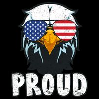 Proud Patriotic Eagle Cropped Pullover Crew