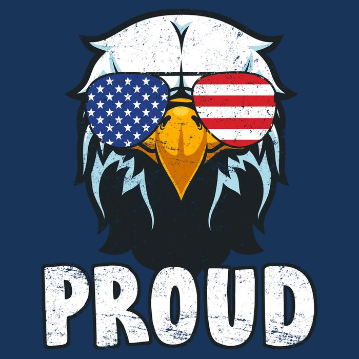 Proud Patriotic Eagle Tie-Dye T-Shirt