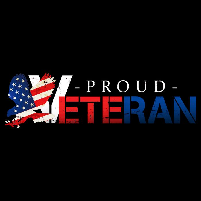 Proud USA Veteran Eagle Poster