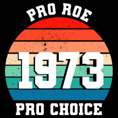 Pro Roe Pro Choice 1973 T-Shirt