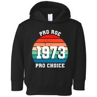 Pro Roe Pro Choice 1973 Toddler Hoodie