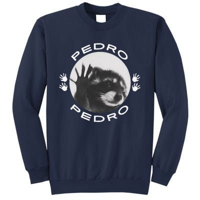 Pedro Raccoon Sweatshirt