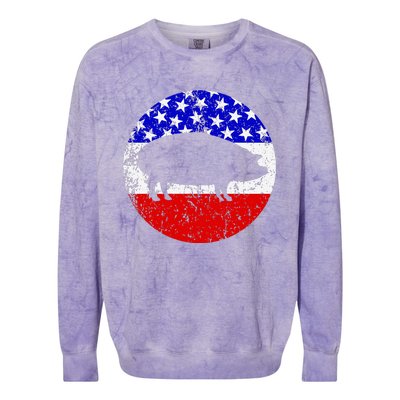 Pig Roast Retro Style Bbq Cookout American Flag Colorblast Crewneck Sweatshirt