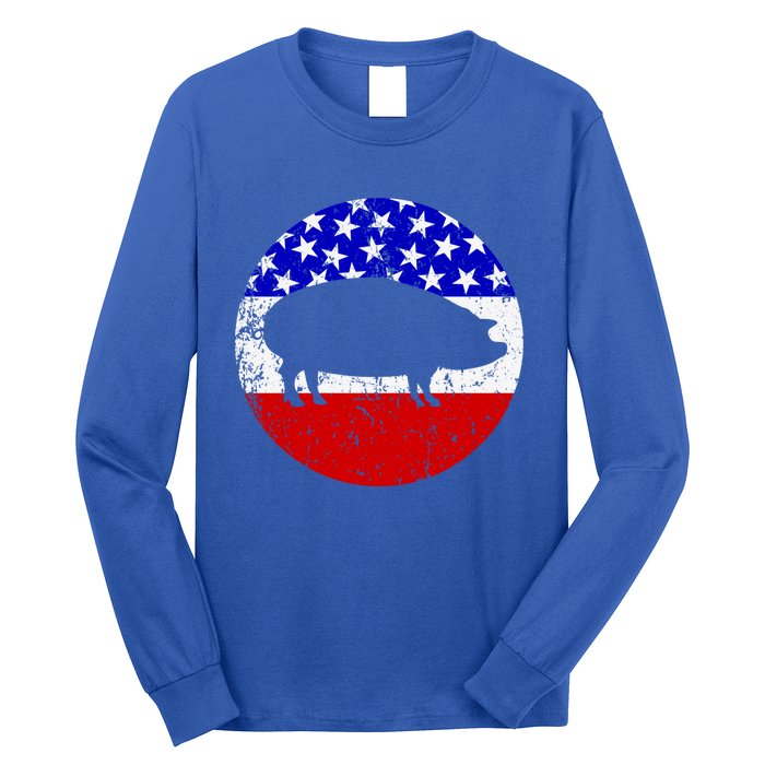 Pig Roast Retro Style Bbq Cookout American Flag Cute Gift Long Sleeve Shirt