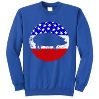 Pig Roast Retro Style Bbq Cookout American Flag Cute Gift Sweatshirt