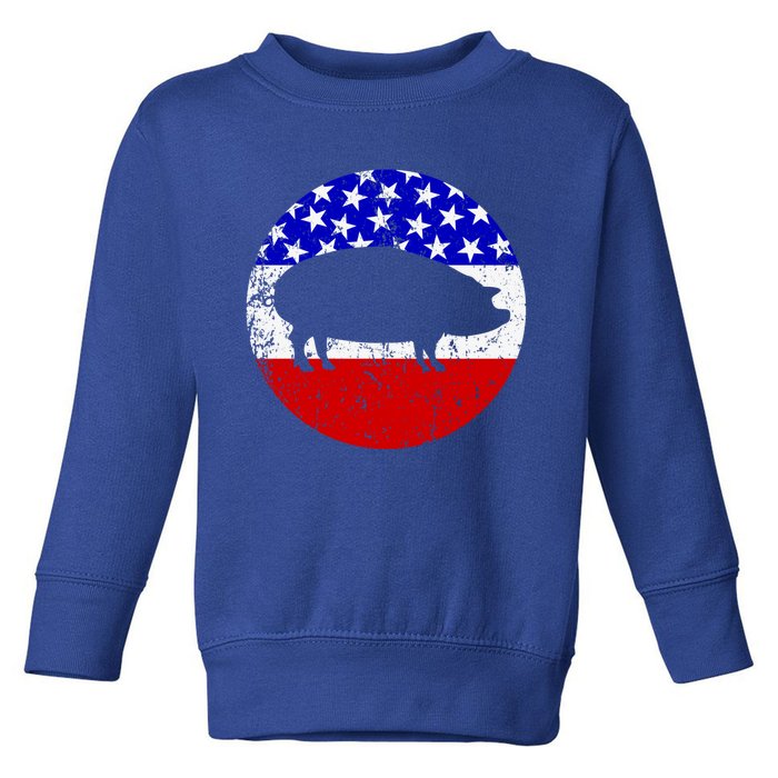 Pig Roast Retro Style Bbq Cookout American Flag Cute Gift Toddler Sweatshirt