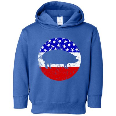 Pig Roast Retro Style Bbq Cookout American Flag Cute Gift Toddler Hoodie