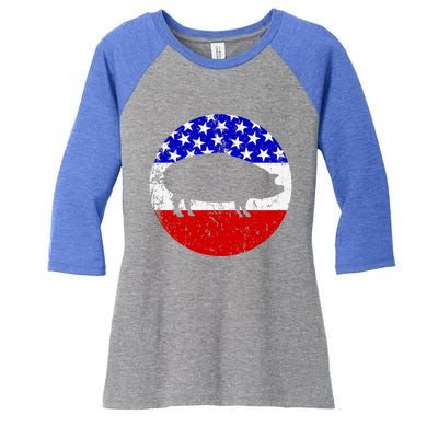 Pig Roast Retro Style Bbq Cookout American Flag Cute Gift Women's Tri-Blend 3/4-Sleeve Raglan Shirt